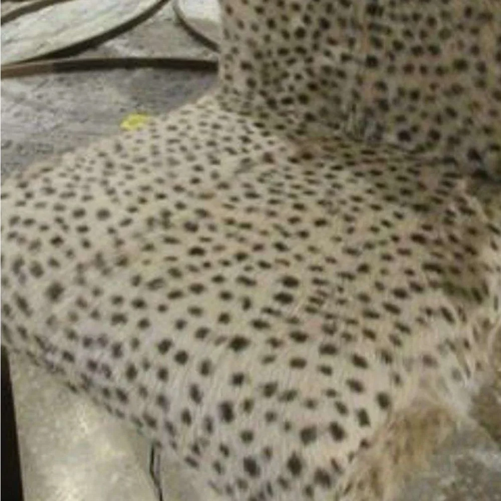 OKA goat hair Leopard Print Faux Fur Accent designup Houston Texas pick up only
